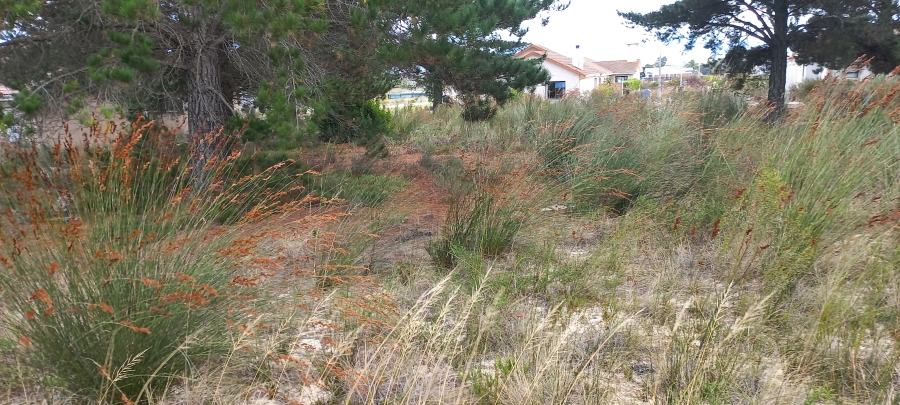 0 Bedroom Property for Sale in Albertinia Western Cape